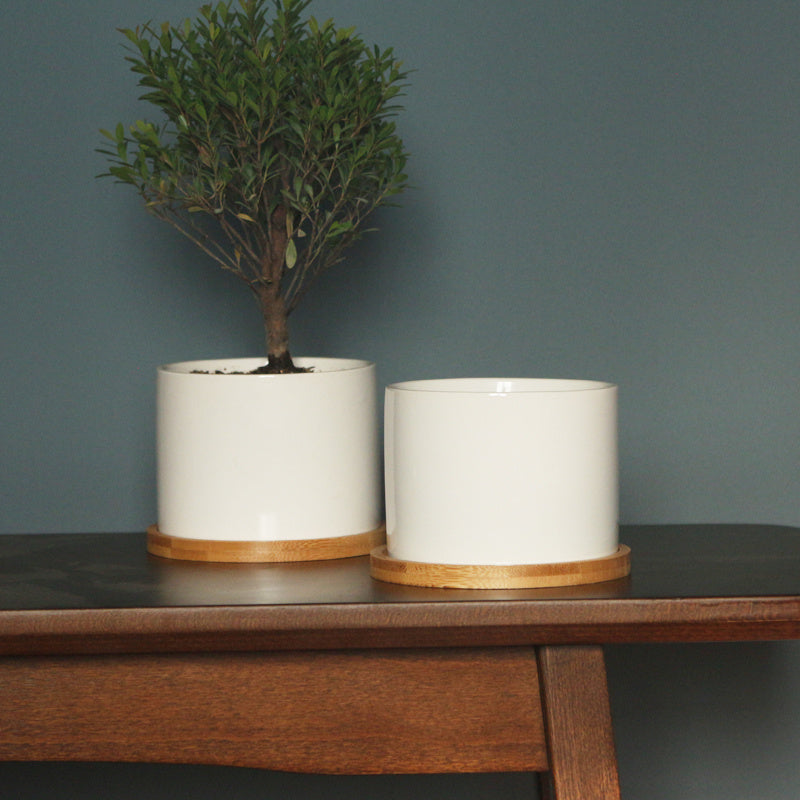 Flower Pot with Bamboo Tray Support