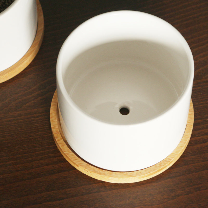 Flower Pot with Bamboo Tray Support